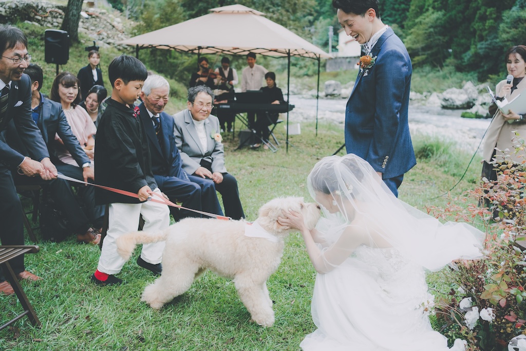 愛犬と一緒に結婚式を行う方法