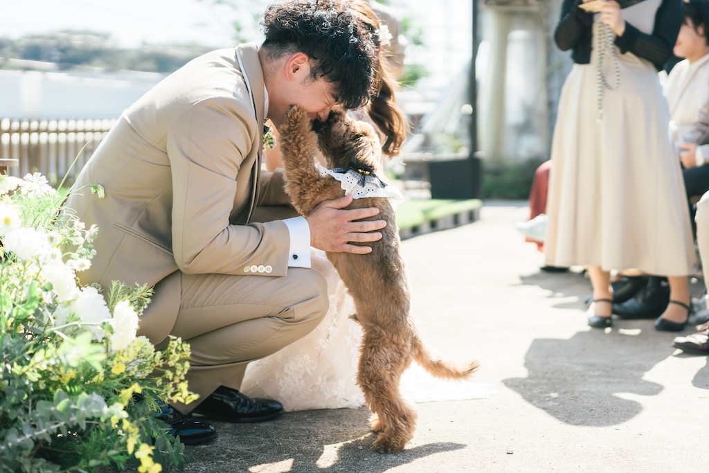 岡崎市のガーデン会場Oniwa De...で愛犬と撮影するガーデンウェディング