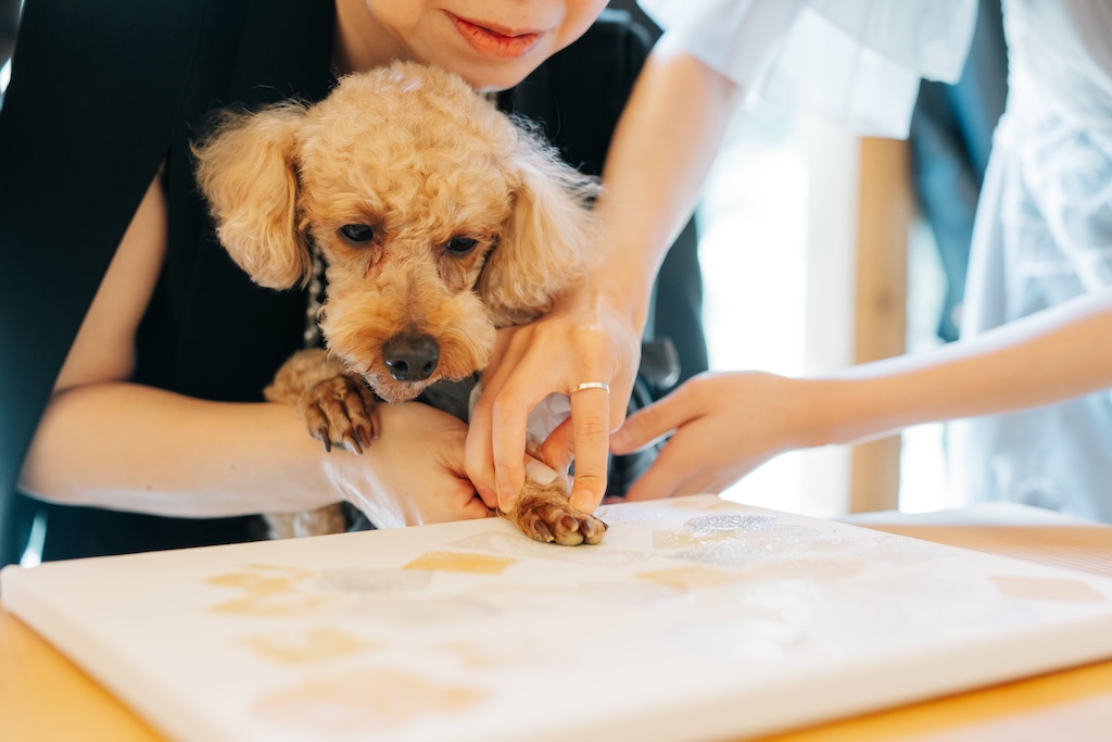 愛犬の肉球スタンプを押した結婚証明書